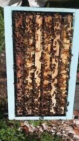 Včelí oddělek RM 39 x 24