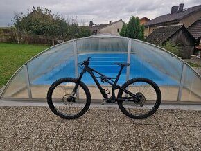 Specialized enduro FSR carbon