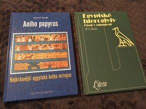 Aniho papyrus a Egyptské hieroglyfy