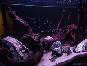 Aquarium 250l