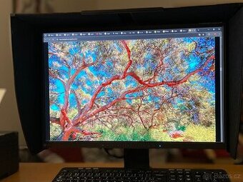 Eizo ColorEdge CG222W+ColorMunki Design