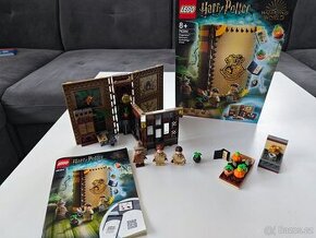 LEGO Harry Potter 76384 - Hodina bylinkářství