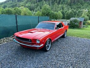 Mustang 289