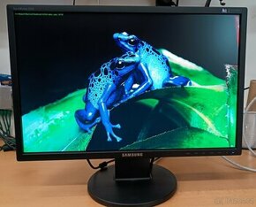 Samsung SyncMaster 2243NW - LCD monitor 22" - 1