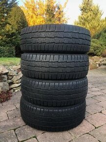 Zimní pneu Michelin Agilis Alpin 205/65 R16 C - zátěžové - 1