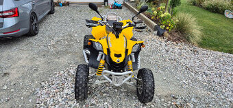 Can-Am 450DS - 1