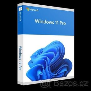 Windows 11 pro