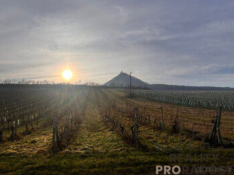 Prodej Vinice v Dolních Věstonicích, 3 048 m2