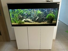 Akvarium 160l + život