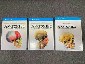 Anatomie