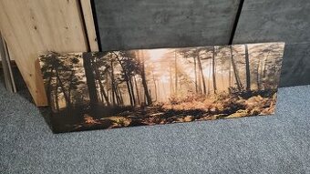 Obrovský obraz les