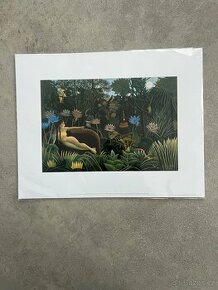 Tisk MoMa Henri Rousseau - 1