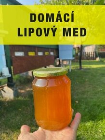 Domácí lipový med z Moravy