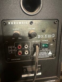 Repro kurzweil - 1