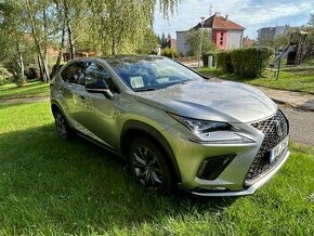 Lexus NX 300h F-Sport, Panorama