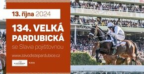 VELKÁ PARDUBICKÁ - PRODEJ 1 LÍSTEK NA SEZENÍ