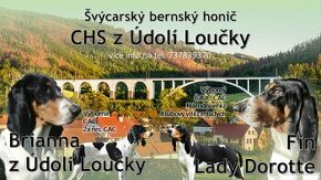 Bernský honič z Údolí Loučky