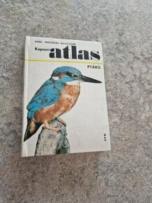 Kapesní atlas ptáků