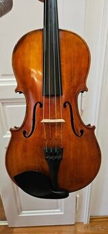 Mistrovska Viola - 1