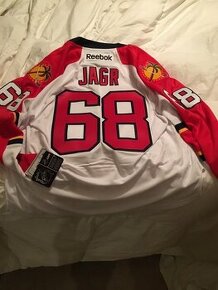 Florida Panthers Jagr jersey - 1