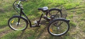 Elektrická tříkolka EASYBIKE Auriga