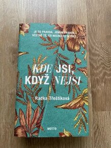 Radka Třeštíková - Kde jsi kdyz nejsi