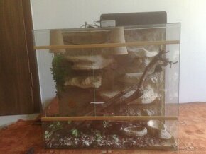 terarium pro hada