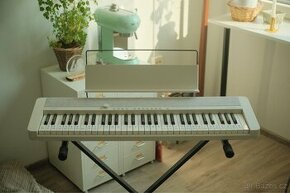 Klávesy CASIO CT-S1WE