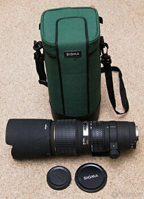 Sigma 100-300/4 EX APO IF pro Canon - 1