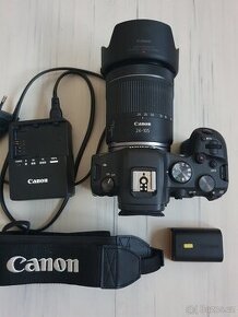 CANON EOS R6+CANON RF 24-105/4-7.1 IS STM