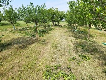 Vyklízení nemovitostí, údržba zeleně, hodinový manžel