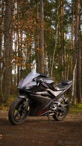 yamaha yzf r125 2008 - 1