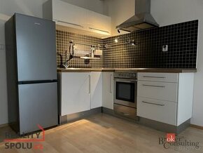 Pronájem, byty/1+kk, 30 m2, Velenovského 3251/1, Záběhlice, 