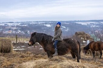 Huculská klisna, hucul, Tobiano, pony, malý kůň