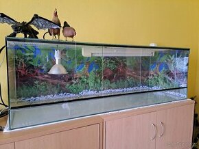 Terarium 120x40x40 - 1