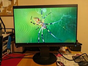 EIZO EV 2455 - 24" LCD IPS 1920 x 1200 pěkný