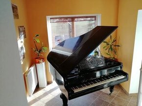 Piano Křídlo