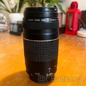 Canon EF 75-300mm f/4.0 - 5.6 III Zoom