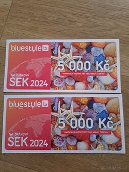 Poukaz 2x5000 czk Blue style