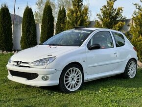 Peugeot 206 RC Rally - 1