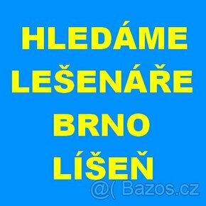 Obrázek k inzerátu: LEŠENÁŘ (ŘIDIČ) - BRNO-LÍŠEŇ 30.000-50.000,-Kč/měs.