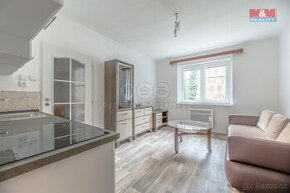 Prodej bytu 2+kk, 51 m², Liberec, ul. Mlýnská - 1