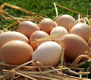 Domácí skepičí vejce