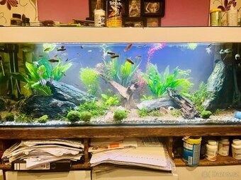 Akvarium 300l 150x40x50