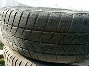 Zimní pneu POLARIS 195/65 R15 91T