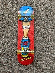 Skateboard pro začátečníky