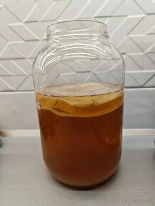 Kombucha