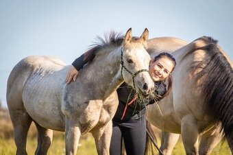 QH valach na prodej -Buckskin