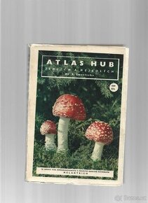 Atlas hub