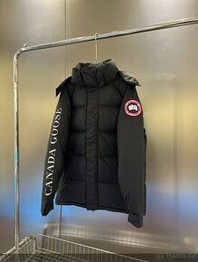 Canada goose - 1